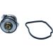 Thermostateinsatz mit Dichtung TX 474 92D