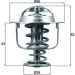 Thermostateinsatz mit Dichtung RENAULT Master II 98 BEHR TX 197 71D