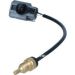 Sensor, Kühlmitteltemperatur 727036