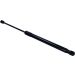 Gasfeder, Koffer-/Laderaum 234092 Gasfeder, Koffer-/Laderaum 234092