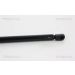 Gasfeder, Koffer-/Laderaum 871029294