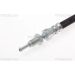 Bremsschlauch 815016325