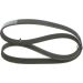 Keilrippenriemen NISSAN,BMW 1987946249