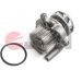 JPN Wasserpumpe 10C9050-JPN JPN Wasserpumpe 10C9050-JPN