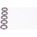 O-Ring 2430210082