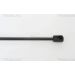 Gasfeder, Koffer-/Laderaum 871025232
