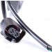 Kühlerlüfter PKW Audi A3 1.8 TFSI 03 85699 Kühlerlüfter PKW Audi A3 1.8 TFSI 03 85699