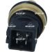 Sensor, Kühlmitteltemperatur EASY FIT 727107