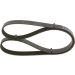 Keilrippenriemen RENAULT,VW,TOYOTA,FIAT 1987948479 Keilrippenriemen RENAULT,VW,TOYOTA,FIAT 1987948479