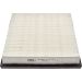 CHAMPION Luftfilter CAF100666P