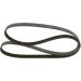Keilrippenriemen VW,OPEL,FORD,RENAULT 1987947948 Keilrippenriemen VW,OPEL,FORD,RENAULT 1987947948