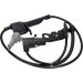 Sensor, Raddrehzahl 20-0183