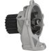 PA 973 Wasserpumpe MW-1539 PA 973 Wasserpumpe MW-1539