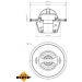 Thermostat, Kühlmittel EASY FIT 725135