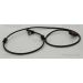 Sensor, Raddrehzahl 818023408