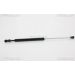 Gasfeder, Koffer-/Laderaum 871013275