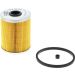 CHAMPION Kraftstofffilter CFF100255