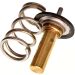Thermostat, Kühlmittel 725069