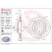 Bremsscheibe HA Xtra 09.A200.1X Bremsscheibe HA Xtra 09.A200.1X