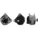 230.194.1252 12V.Lima mit FL NISSAN Interstar 1.9 dCi 80 02 2301941252