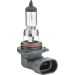 HELLA Glühlampe, Nebelscheinwerfer 8GH 005 636-121