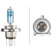 HELLA Glühlampe, Hauptscheinwerfer 8GJ 223 498-121 HELLA Glühlampe, Hauptscheinwerfer 8GJ 223 498-121