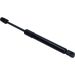 Gasfeder, Koffer-/Laderaum 150450