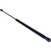 Gasfeder, Koffer-/Laderaum 12-0260