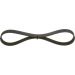 Keilrippenriemen TOYOTA,SKODA,SEAT,VW,NISSAN 1987948318