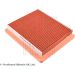 BluePrint Luftfilter ADF122206