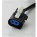 Sensor, Raddrehzahl 818016250