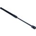 Gasfeder, Koffer-/Laderaum 12-0124