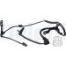 Sensor, Raddrehzahl SS20532