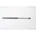 Gasfeder, Koffer-/Laderaum 871029268