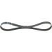 Keilrippenriemen FORD Fiesta Elastic 1987946142 Keilrippenriemen FORD Fiesta Elastic 1987946142