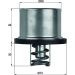 Thermostateinsatz TX 37 79