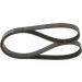 Keilrippenriemen RENAULT,VW,TOYOTA,FIAT 1987948479 Keilrippenriemen RENAULT,VW,TOYOTA,FIAT 1987948479