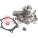 JPN Wasserpumpe 10C0509-JPN JPN Wasserpumpe 10C0509-JPN