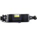 Arnott Luftfederbein HA li SK-2420 Arnott Luftfederbein HA li SK-2420