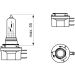 12V 15/55W PGJ23t-1 BOSCH KFZ-GLUEHLAMPE Pure Light WS 1987302088