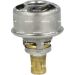 Thermostat, Kühlmittel 725007