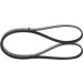 Keilrippenriemen AUDI,RENAULT,VW,CITROEN,TOYOTA 1987946003 Keilrippenriemen AUDI,RENAULT,VW,CITROEN,TOYOTA 1987946003