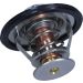 Thermostat, Kühlmittel 352317100390
