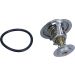 Thermostat, Kühlmittel 352317101620