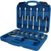 KS TOOLS Werkzeugsatz, Stoßdämpfer-Kolbenstange BT651250 KS TOOLS Werkzeugsatz, Stoßdämpfer-Kolbenstange BT651250