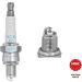 LR8B NGK-Zündkerze KTM 6208