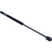 Gasfeder, Koffer-/Laderaum 12-0131