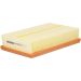FILTRON Luftfilter AP 092/5