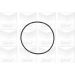PA 572 Wasserpumpe OPEL Astra,Vectra 88 PA572 PA 572 Wasserpumpe OPEL Astra,Vectra 88 PA572