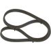 Keilrippenriemen SEAT,VW 1987946209